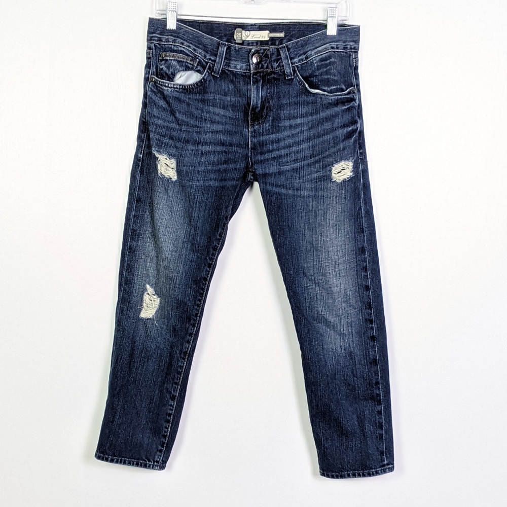 Level 99 Boyfriend Distressed Jeans Size 25